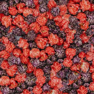 palomitas rojas violeta